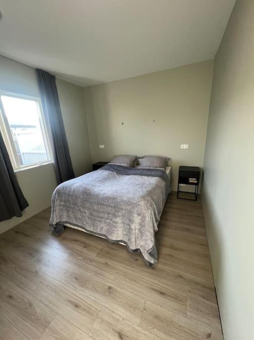 Golden Circle House 1 Apartment Selfoss Ngoại thất bức ảnh