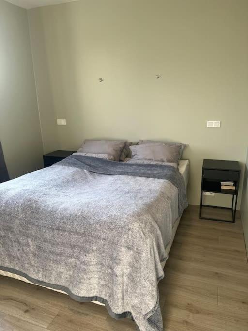 Golden Circle House 1 Apartment Selfoss Ngoại thất bức ảnh