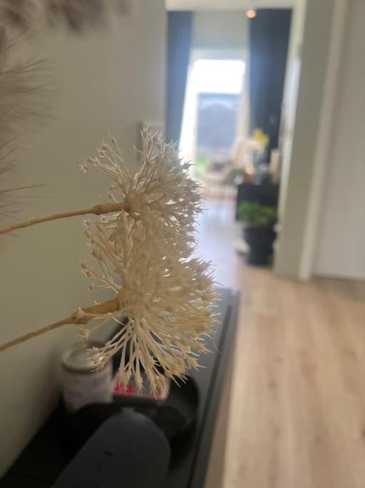 Golden Circle House 1 Apartment Selfoss Ngoại thất bức ảnh