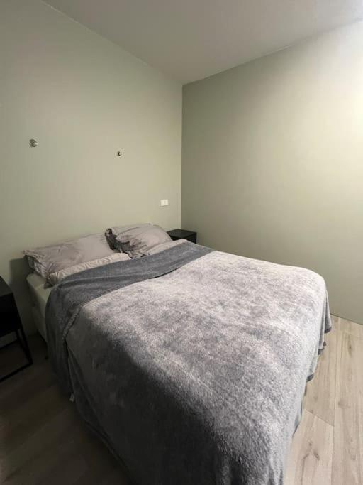 Golden Circle House 1 Apartment Selfoss Ngoại thất bức ảnh